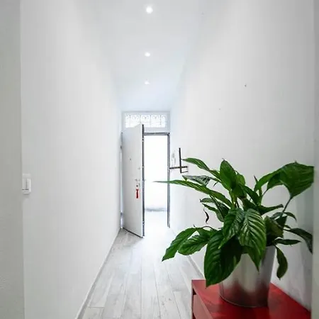 Puccinotti House *