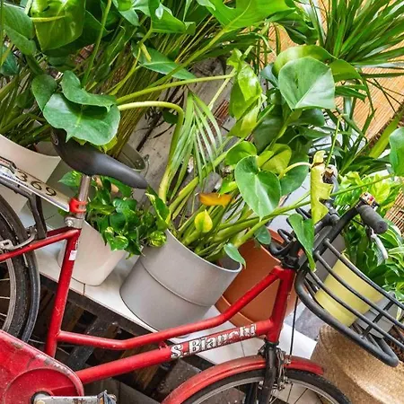 Apartment Puccinotti House Florence