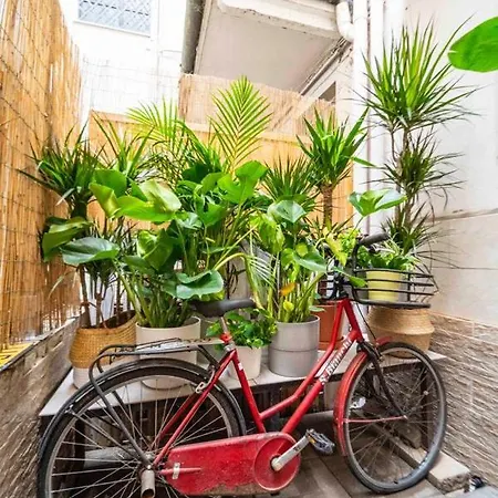Apartment Puccinotti House *