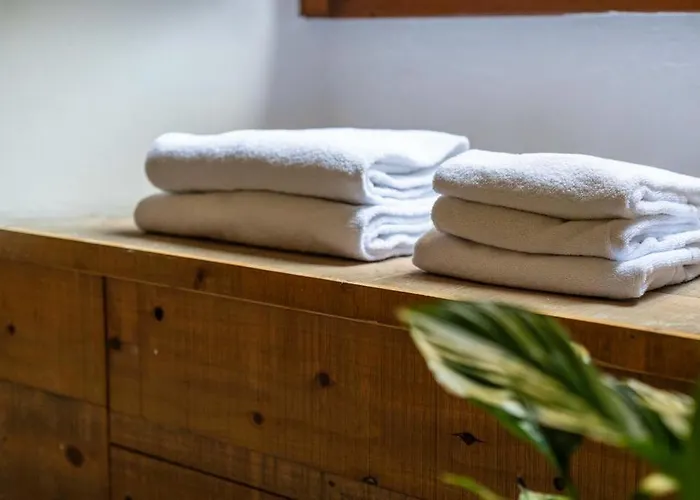 Apartamento Puccinotti House Florença
