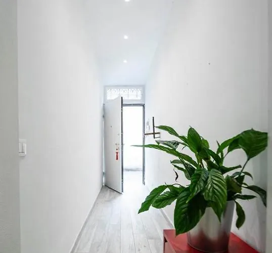 Puccinotti House *
