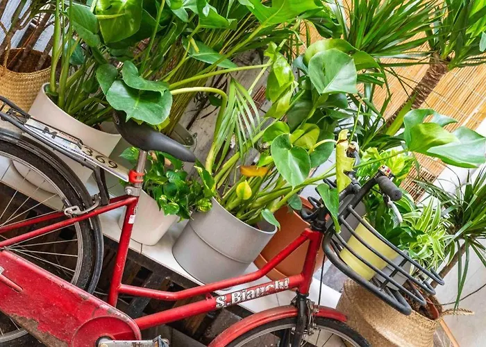 Apartamento Puccinotti House Florença